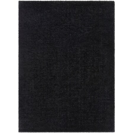 Surya Alaska Shag - 5'3 X 7'3" Area Rug" AAS2304-5373